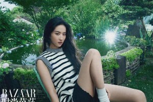 刘亦菲LV时尚大片登《时尚芭莎》，85花首位大满贯