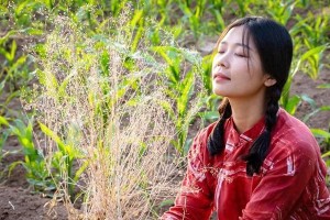 山区支教老师与单亲妈妈的感人爱情故事