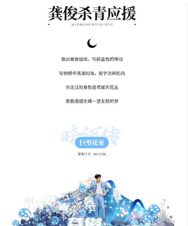 巨型花墙应援