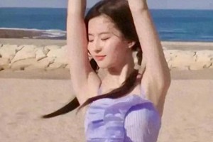 精选图片展示：204030至204027系列