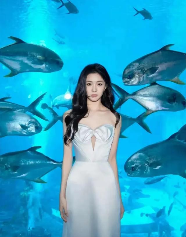 精选图片2