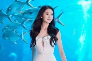 精选图片集：视觉盛宴与艺术欣赏