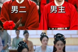 《榜上佳婿》热播争议：王子奇卢昱晓选角引热议